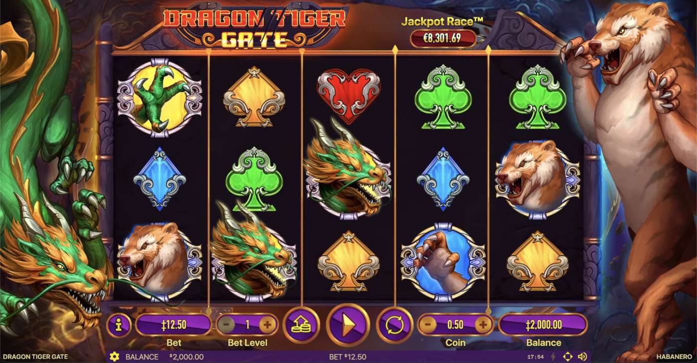 Dragon Tiger Gate: image of main menu