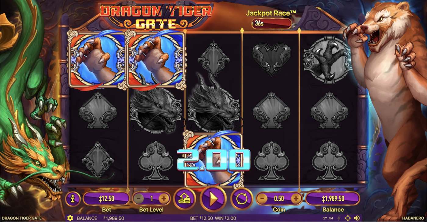Dragon Tiger Gate: image of winning