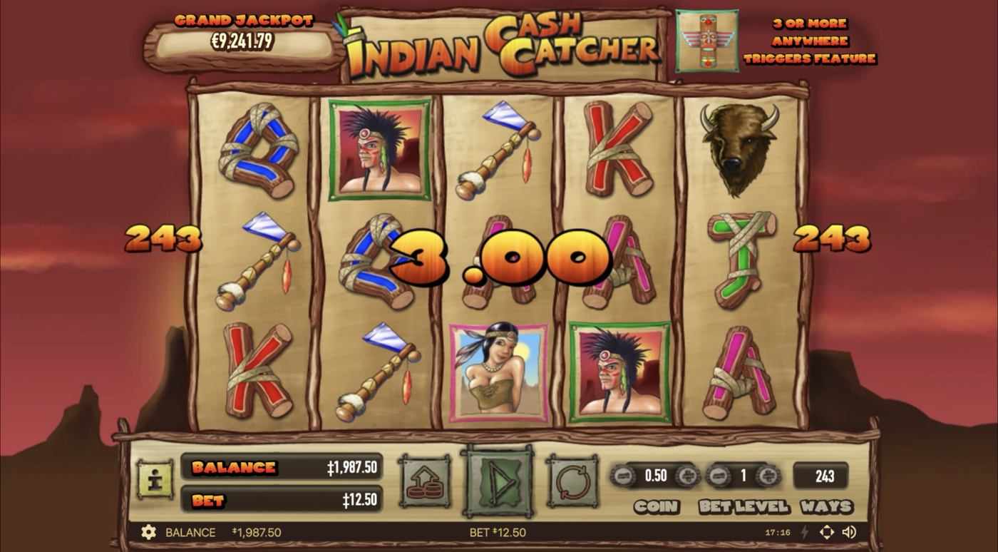 Indian Cash Catcher: image of winning