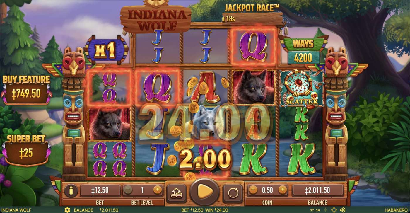 Indiana Wolf: image of winning
