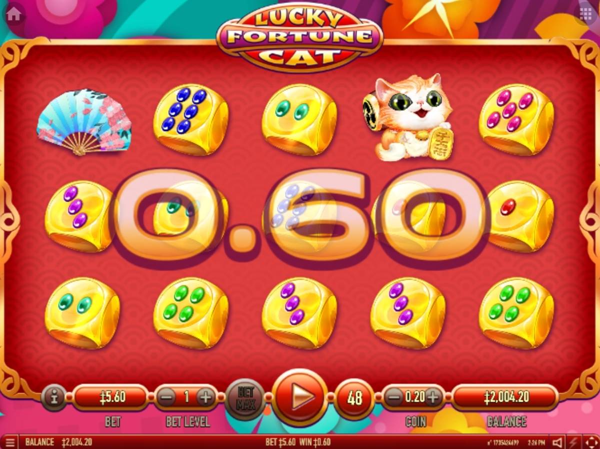 Lucky Fortune Cat: image of winning