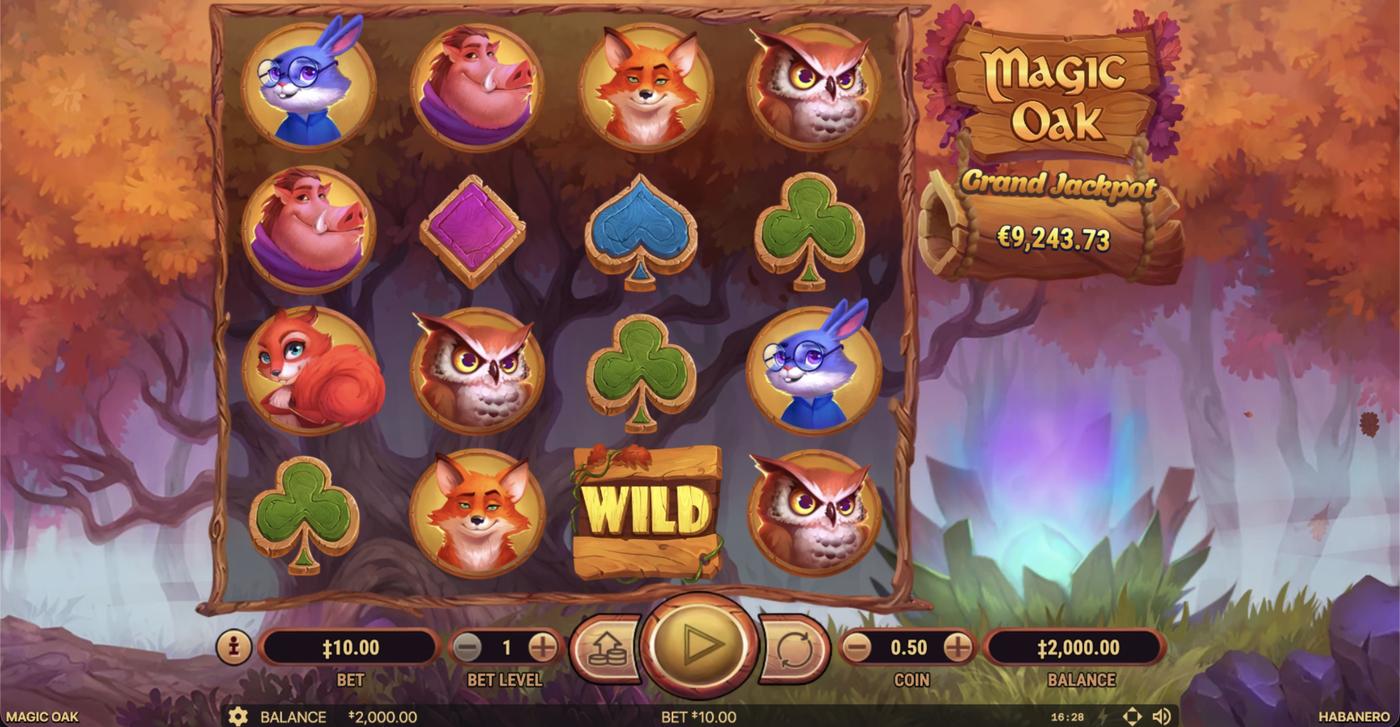 Magic Oak: image of main menu