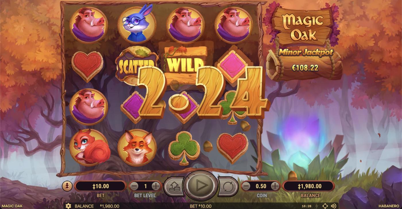 Magic Oak: image of winning