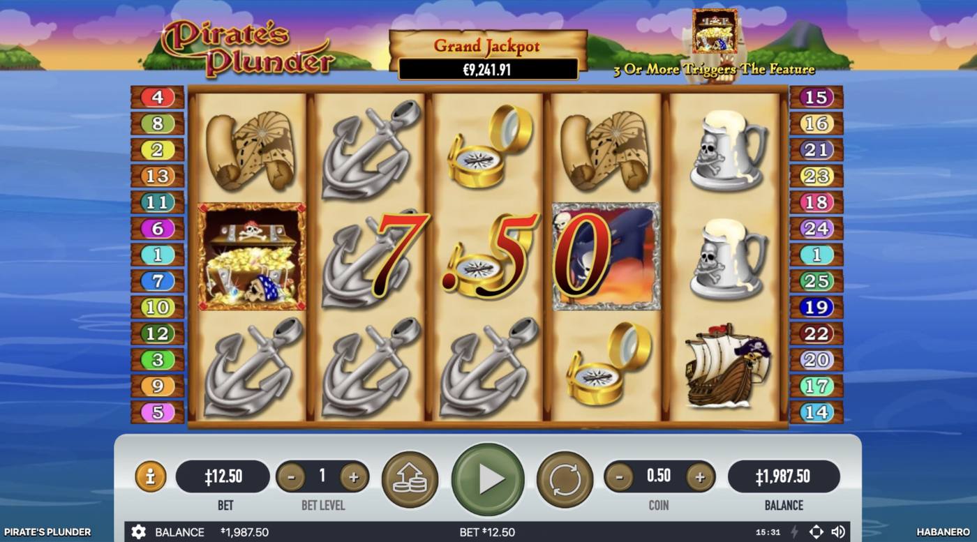 Pirate's Plunder: image of winning