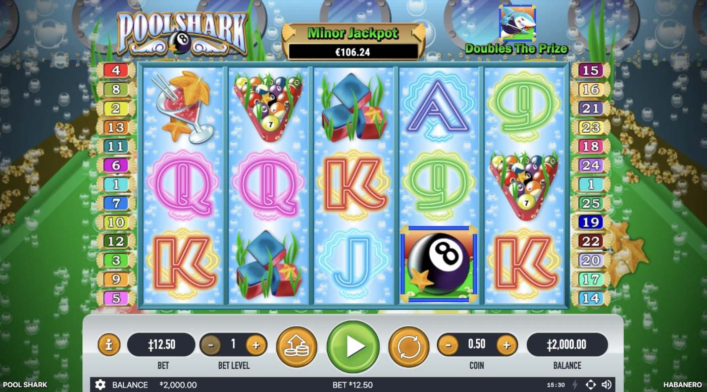 Pool Shark: image of main menu