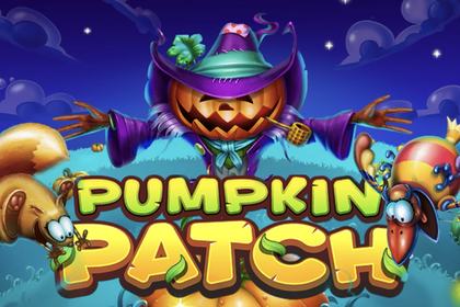 Pumpkin Patch Online Slot Logo