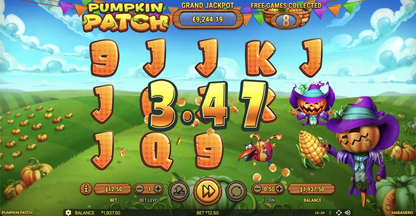 Pumpkin Patch: image of winning