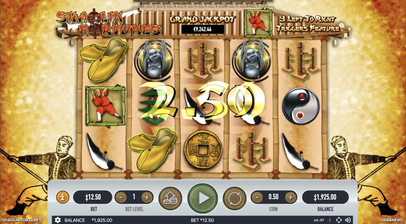 Shaolin Fortunes: image of winning