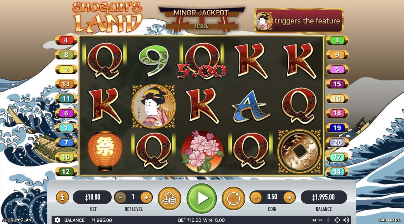 Shogun's Land: image of winning