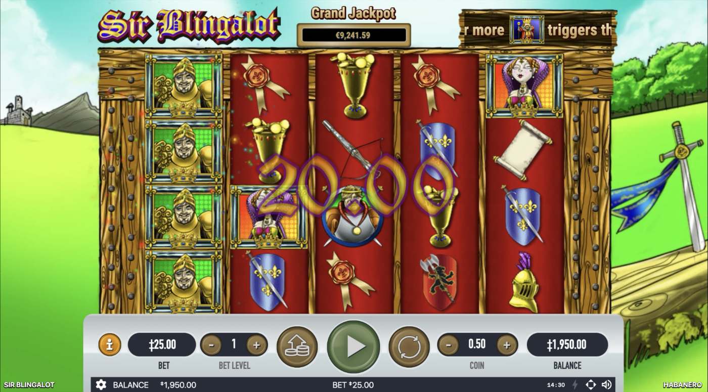 Sir Blingalot: image of winning