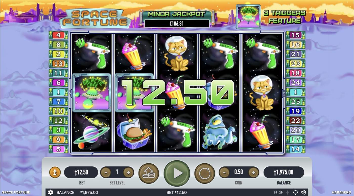 Space Fortune: image of winning
