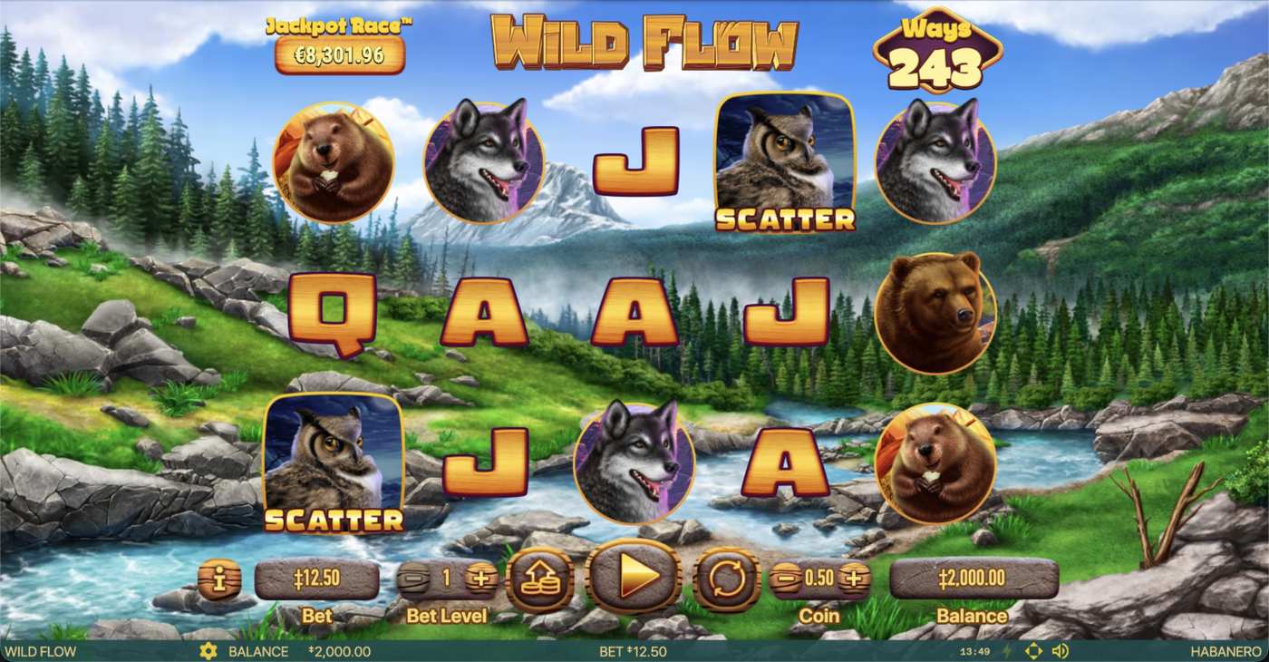 Wild Flow: image of main menu