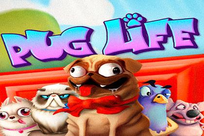 Pug Life Online Slot Logo