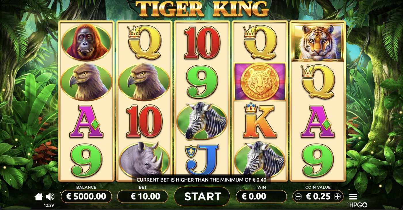 Tiger King: image of main menu