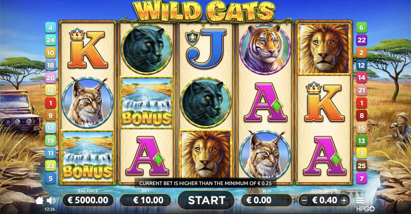 Wild Cats: image of main menu