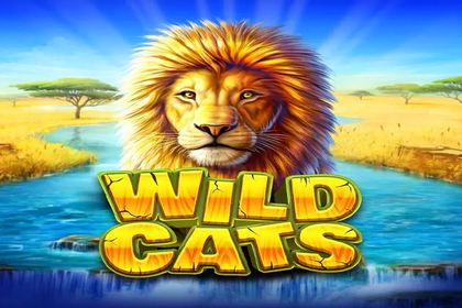 Wild Cats Online Slot Logo