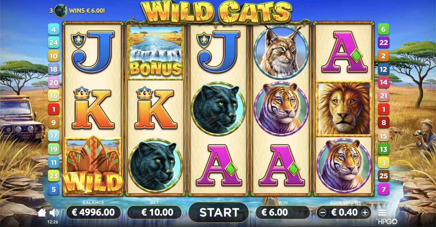 Wild Cats: image of winning