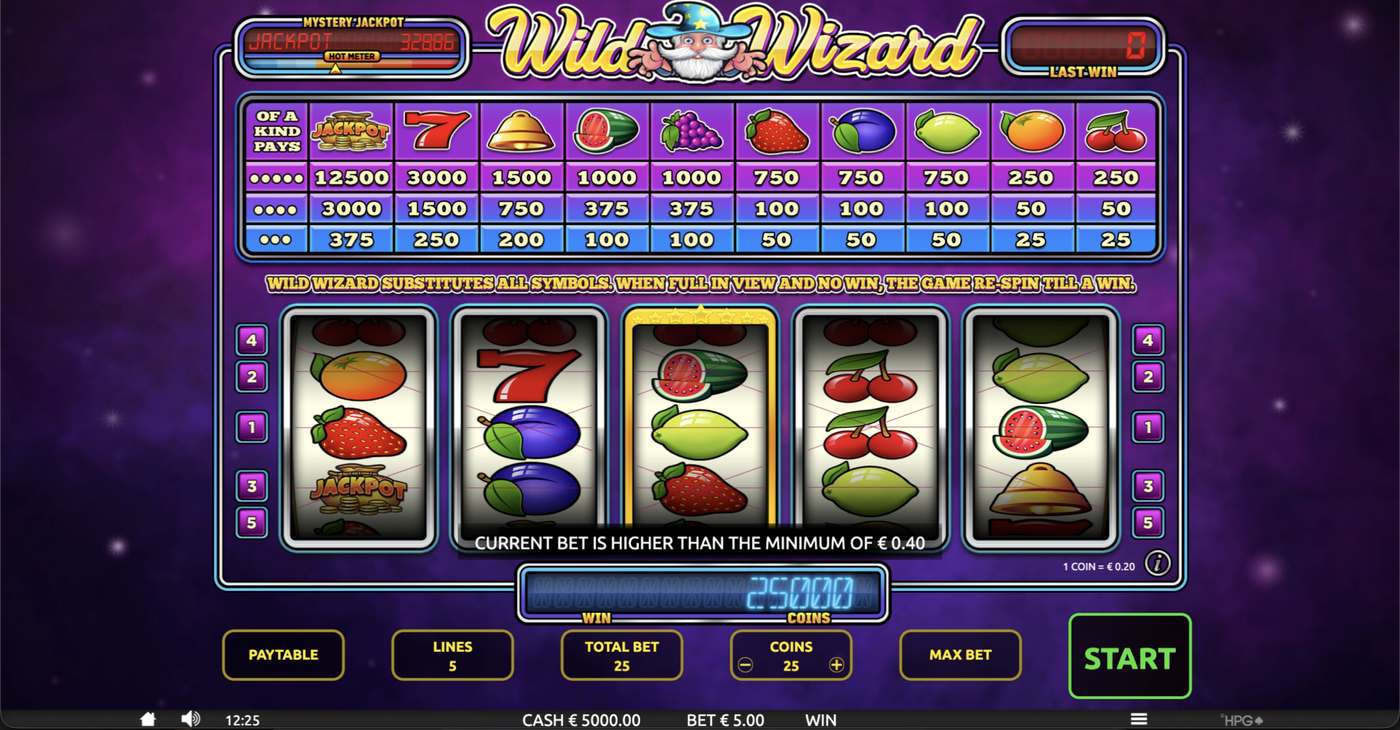 Wild Wizard: image of main menu