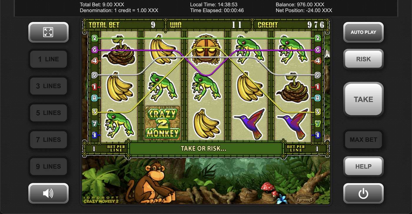 Crazy Monkey 2: image of winning