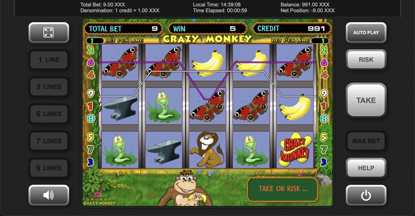Crazy Monkey: image of winning