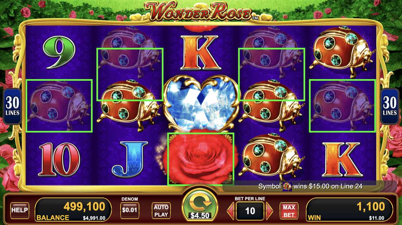 Wonder Rose: image of winning