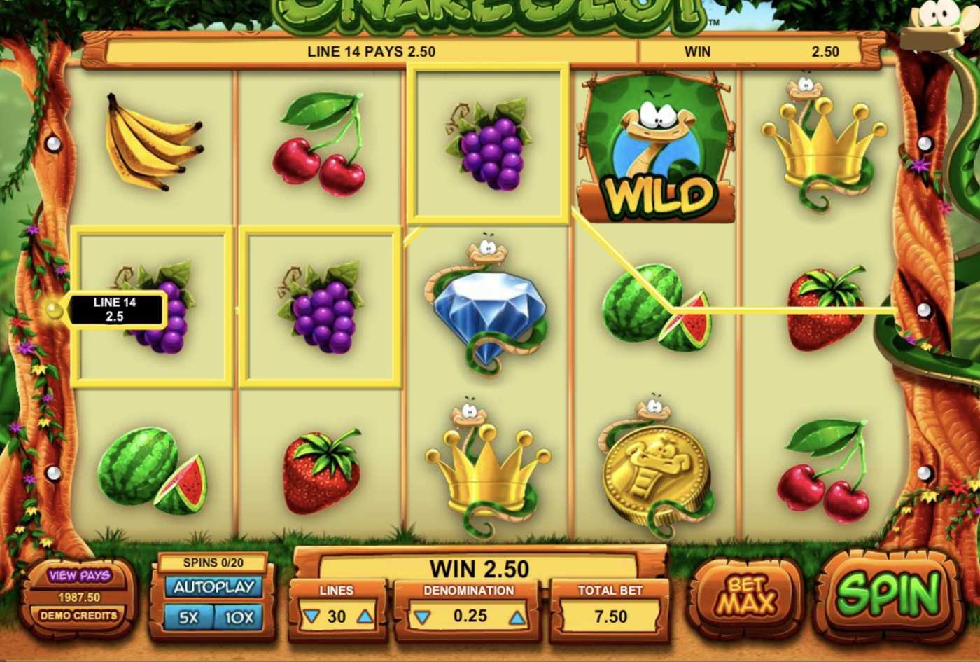 Snake Slot: image of winning