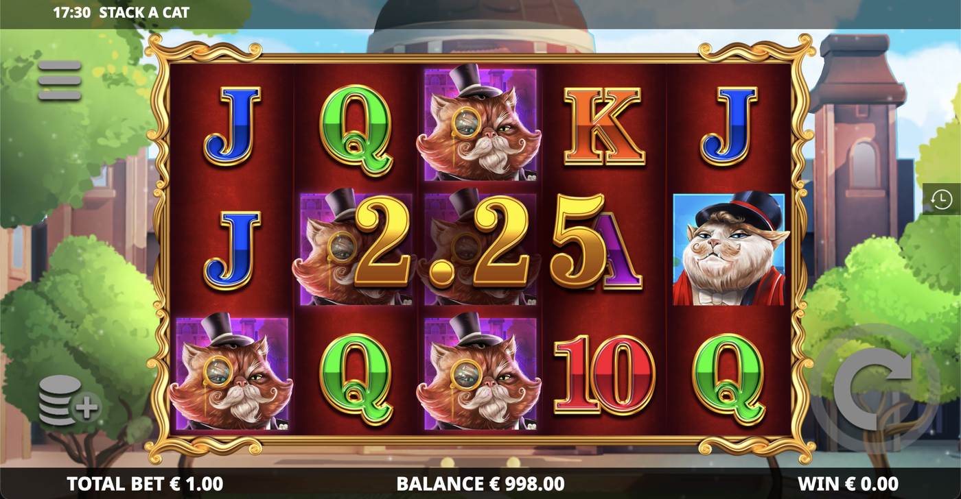 Stack A Cat: image of winning