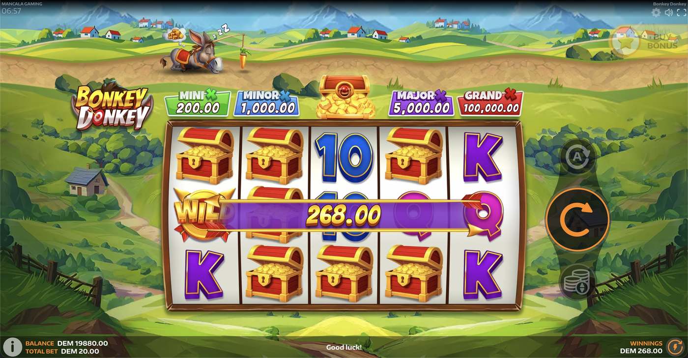 Bonkey Donkey: image of winning