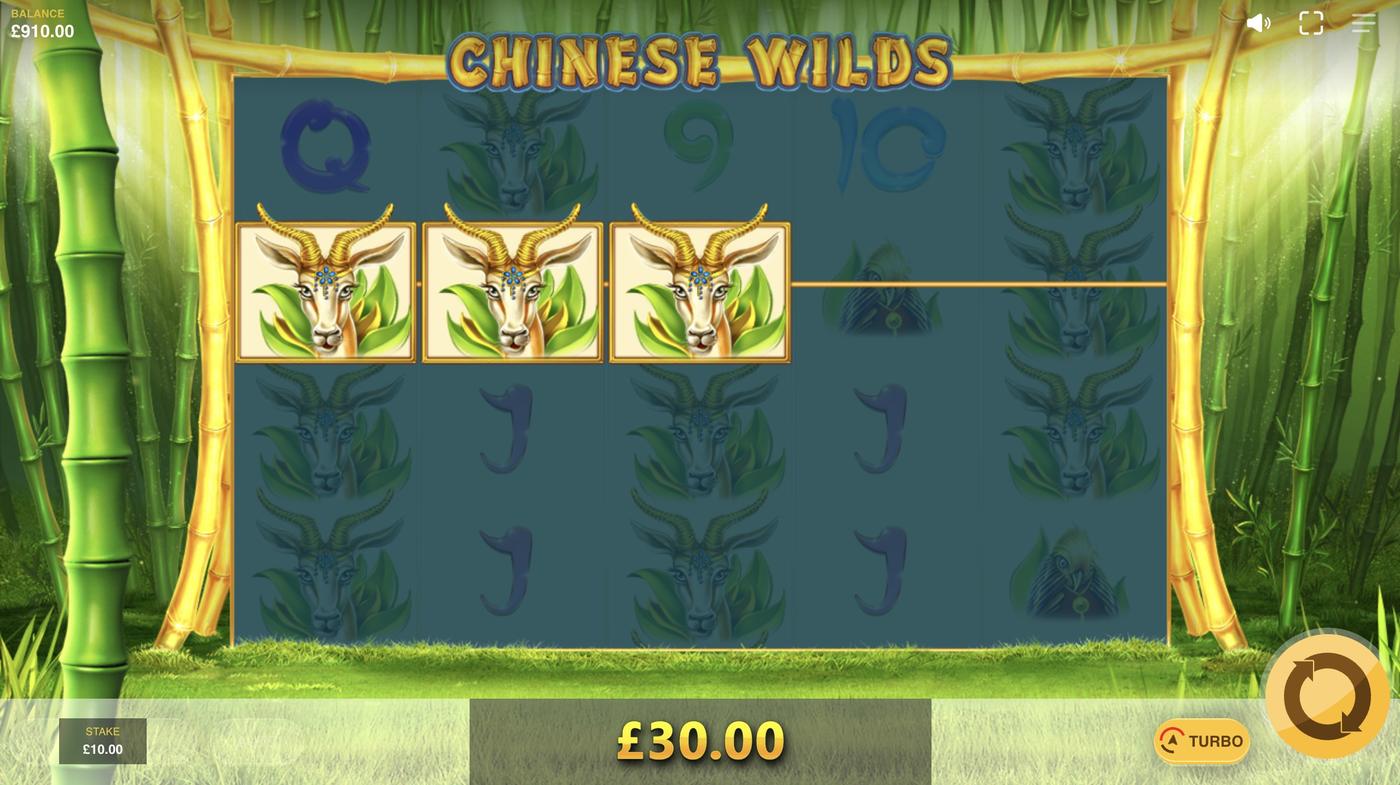 Chinese Wilds: image of winning
