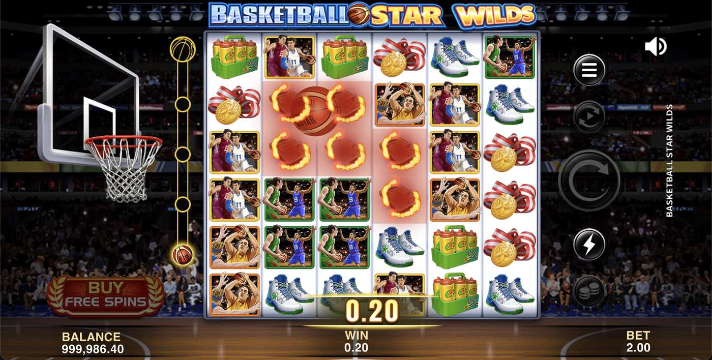 Basketball Star Wilds: image of winning