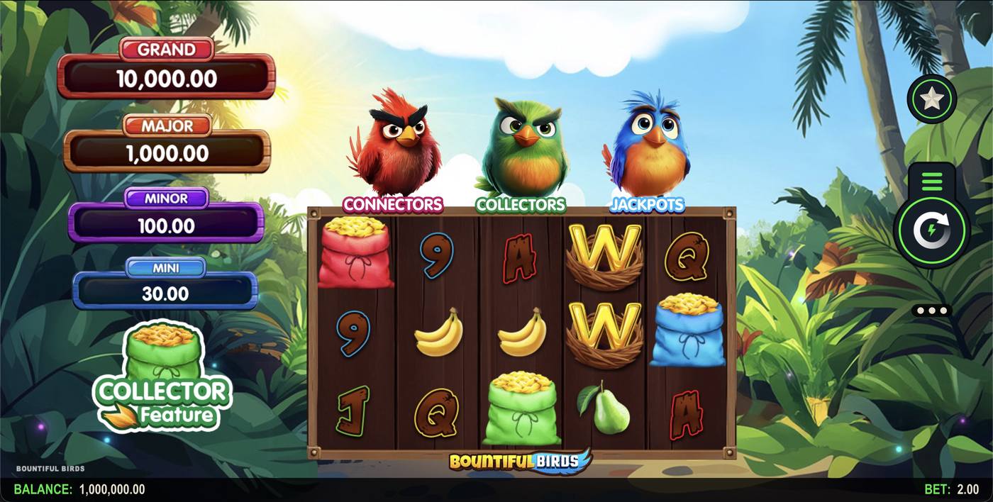 Bountiful Birds: image of main menu