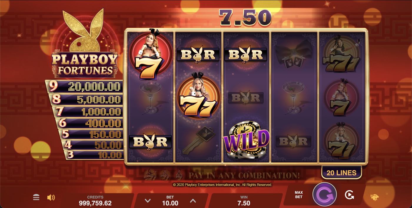 Playboy Fortunes: image of winning