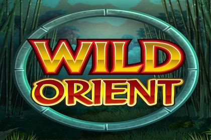 Wild Orient Online Slot Logo