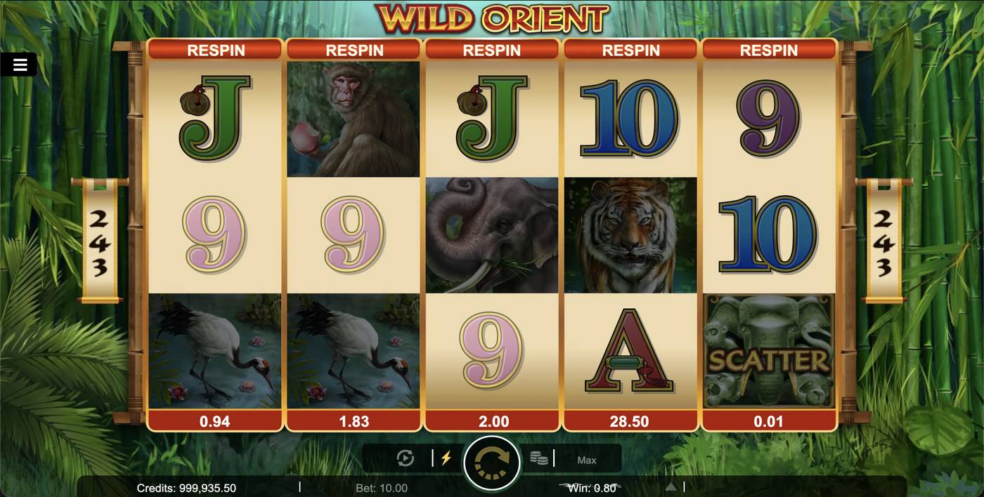 Wild Orient: image of winning