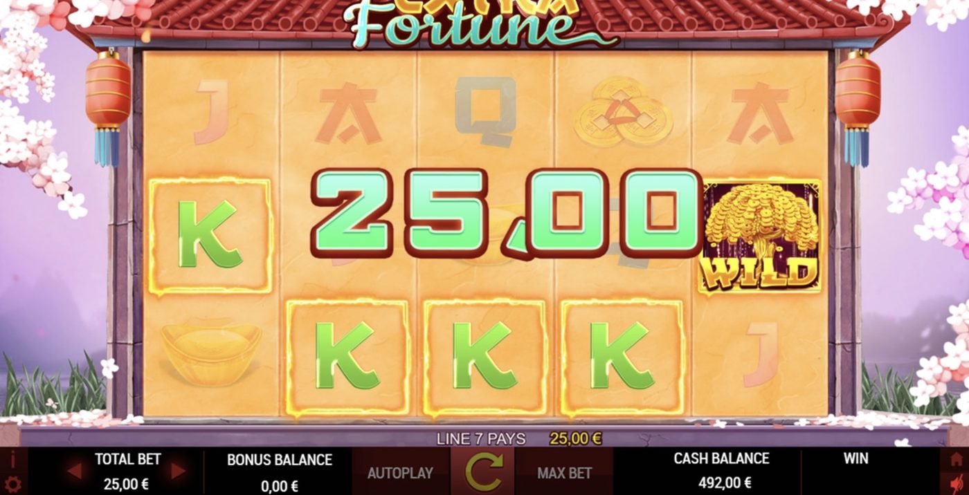 Extra Fortune: image of winning