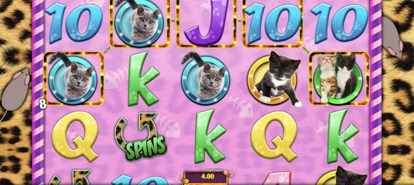 Meow Money: image of winning