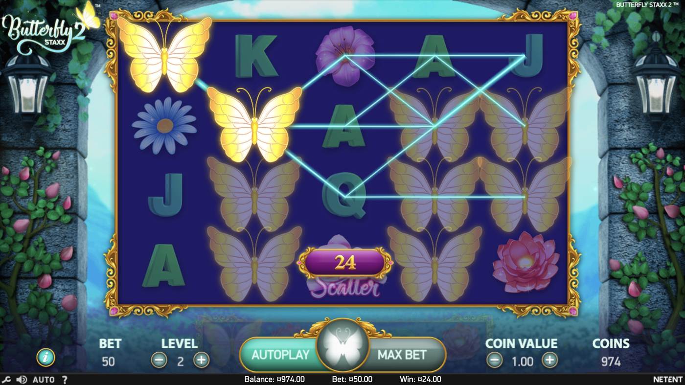 Butterfly Staxx 2: image of winning