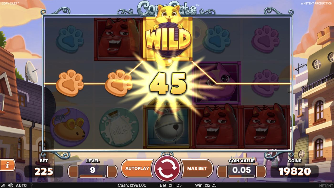 Copy Cats: image of winning