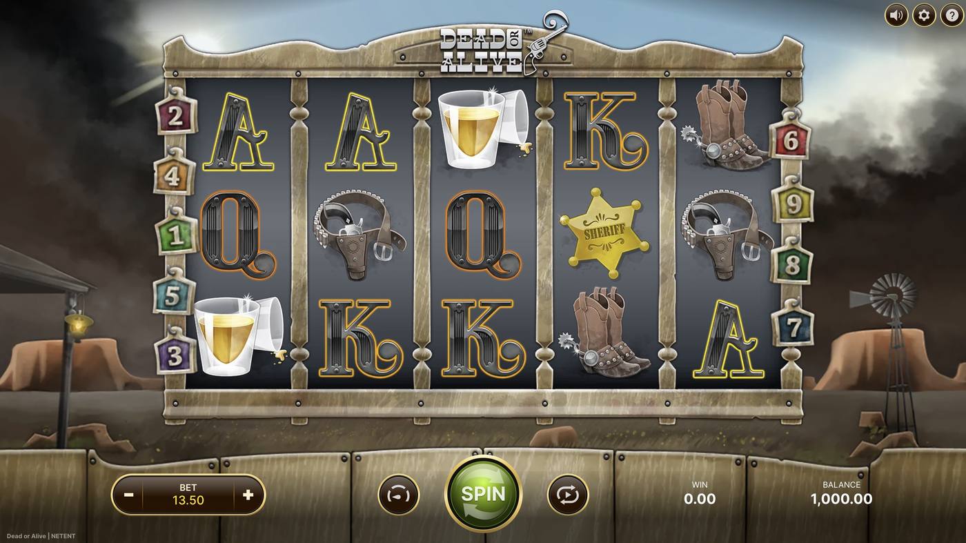 Dead or Alive: image of main menu