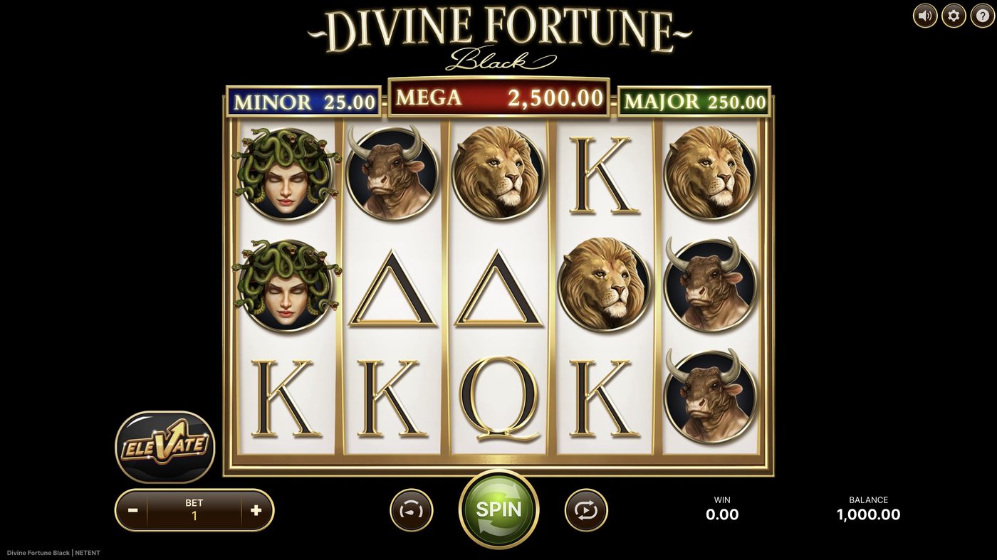 Divine Fortune Black: image of main menu