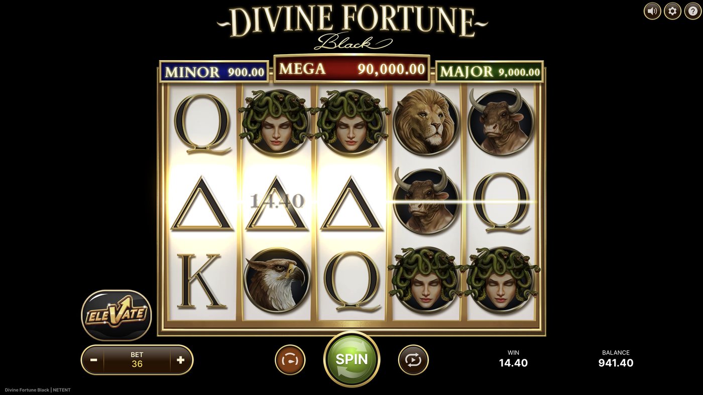 Divine Fortune Black: image of winning