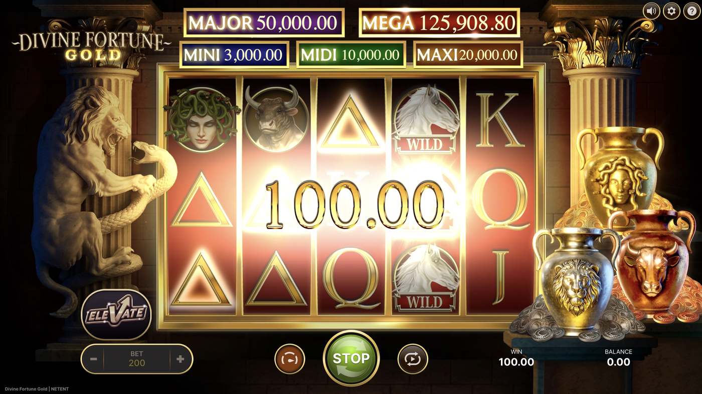 Divine Fortune Gold: image of winning