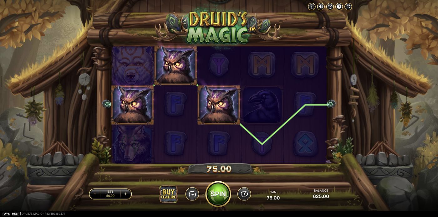 Druid’s Magic: image of winning