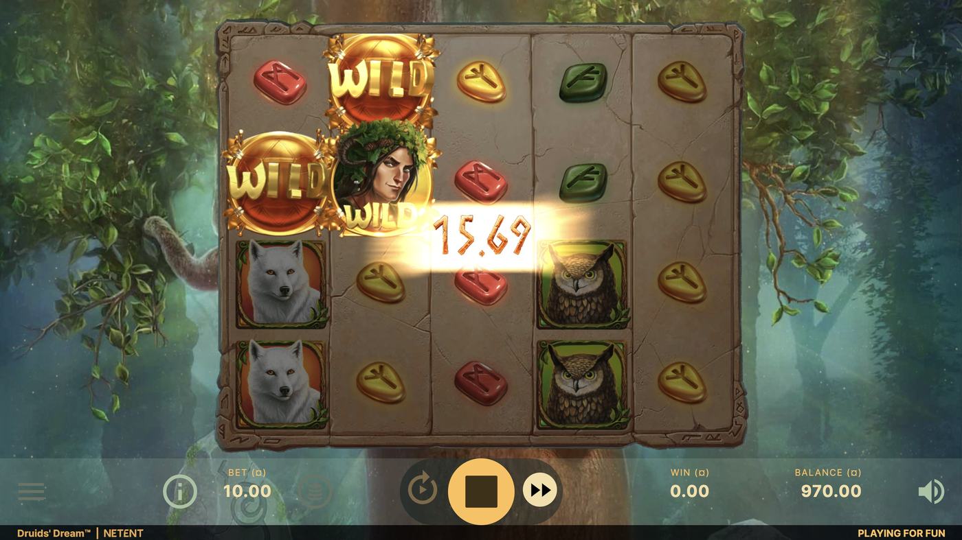 Druids' Dream: image of winning