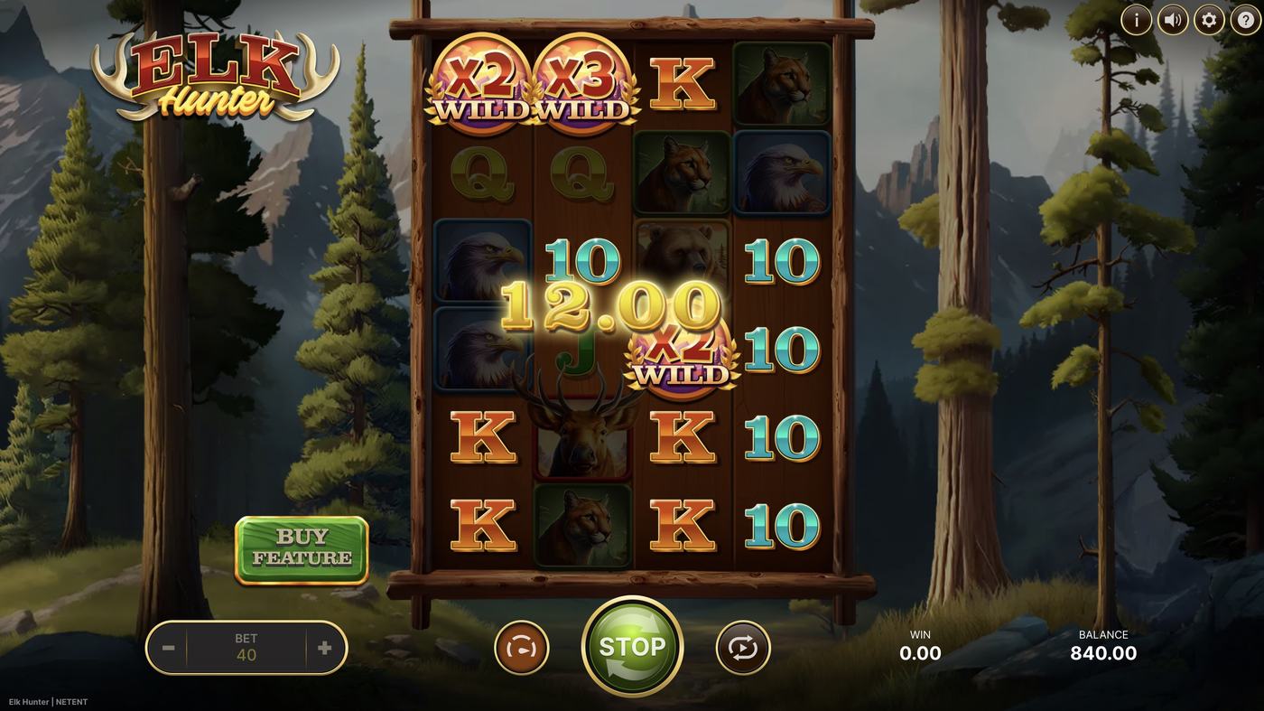 Elk Hunter: image of winning