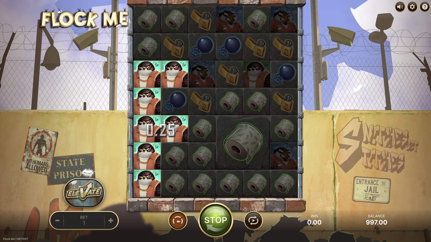 Flock Me: image of winning