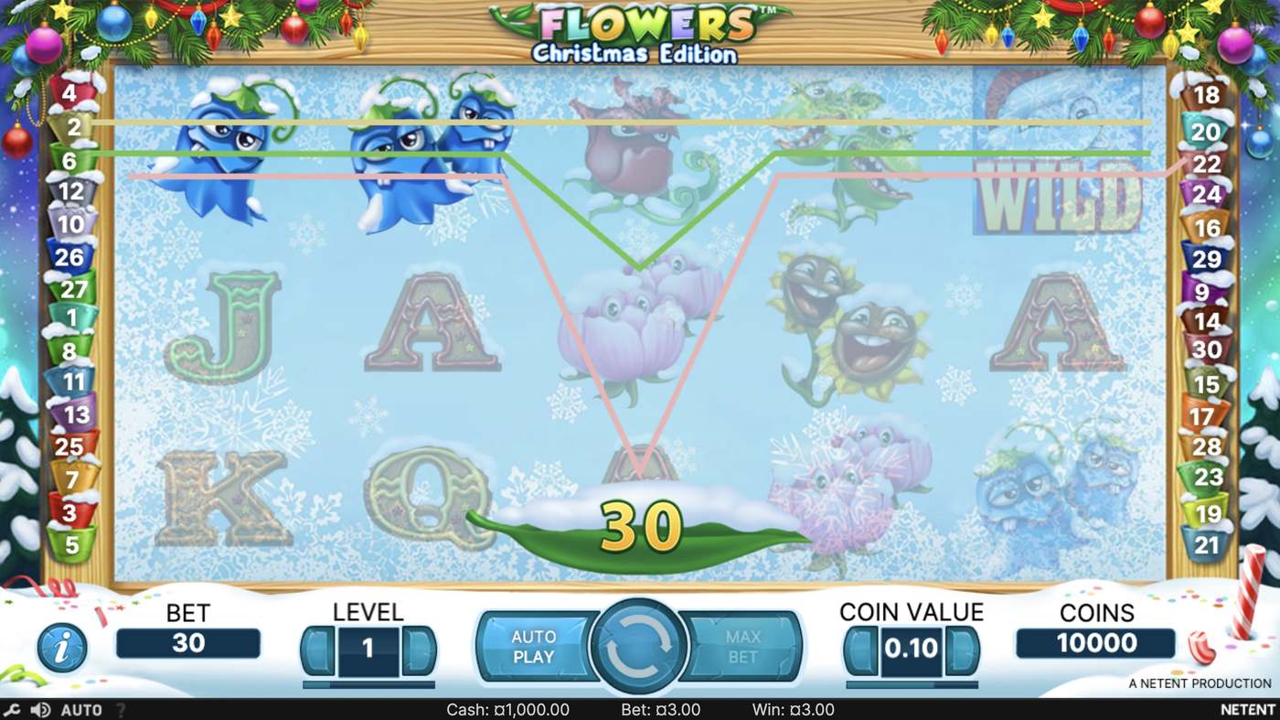 Flowers Christmas: image of winning
