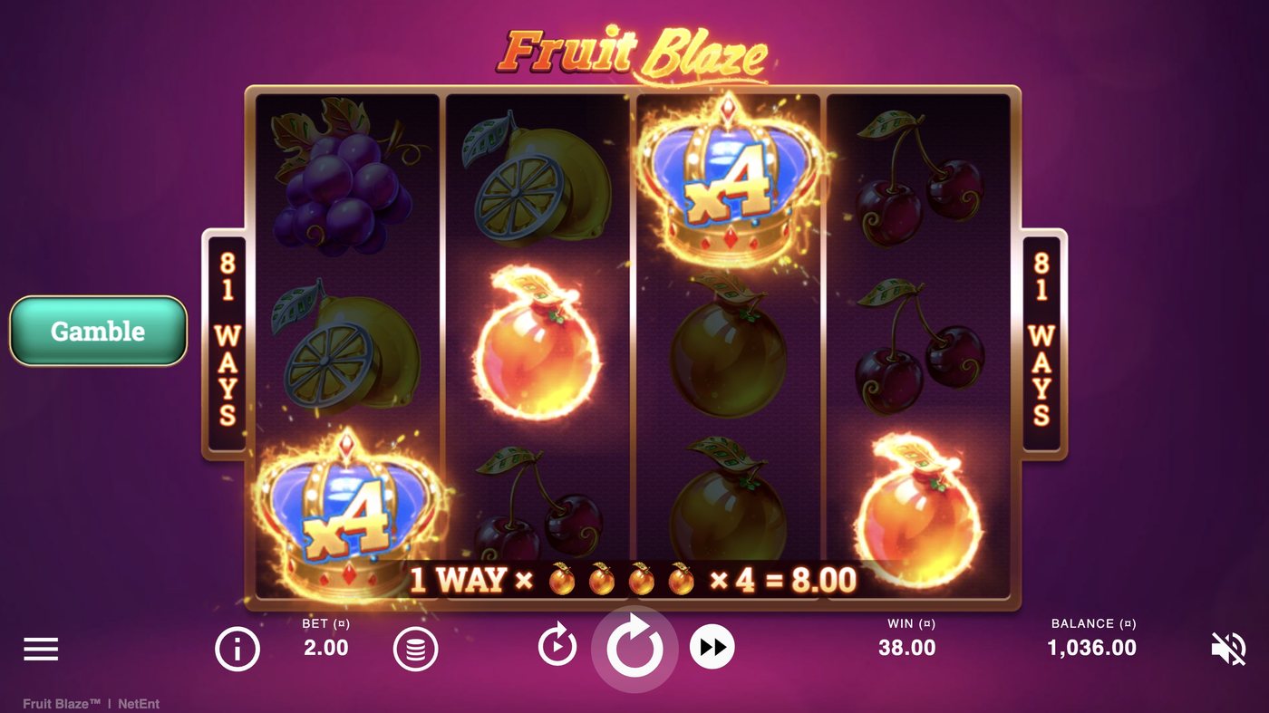 Fruit Blaze: image of winning