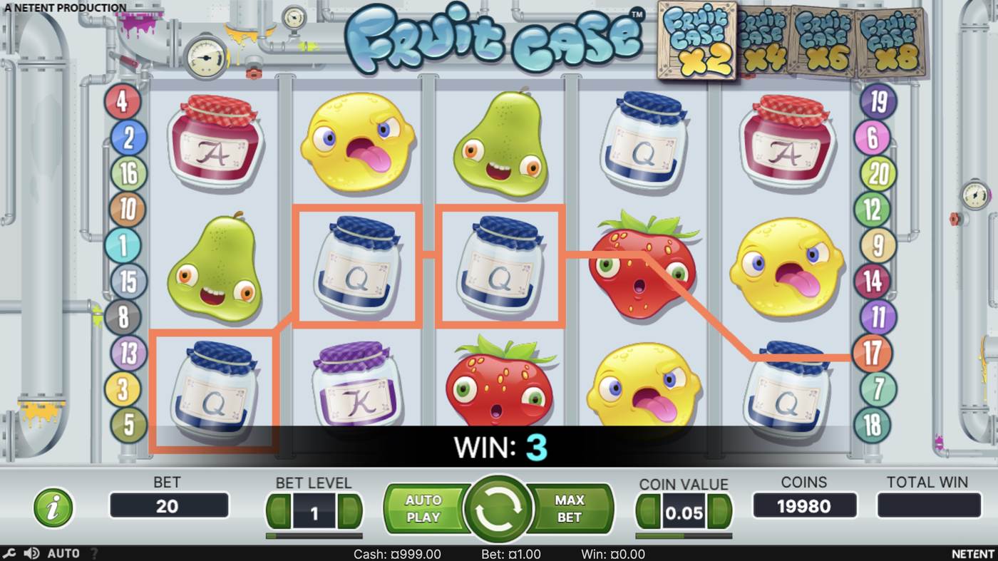Fruit Case: image of winning