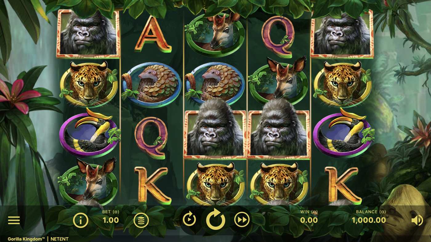 Gorilla Kingdom: image of main menu